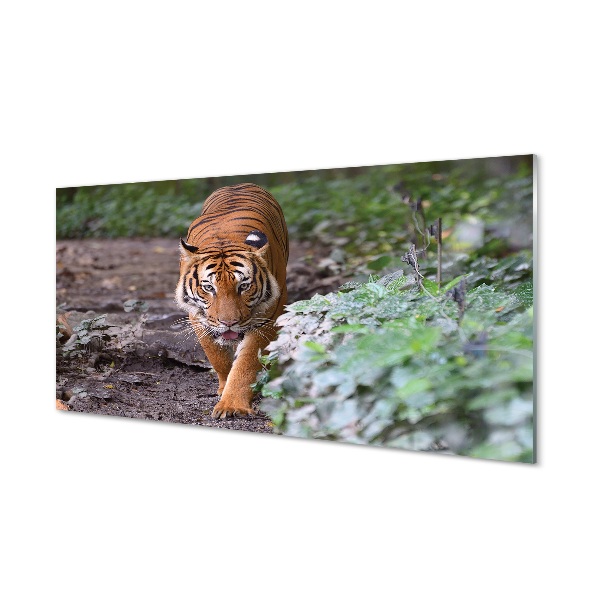 Skleneny obraz Tiger pri kríku