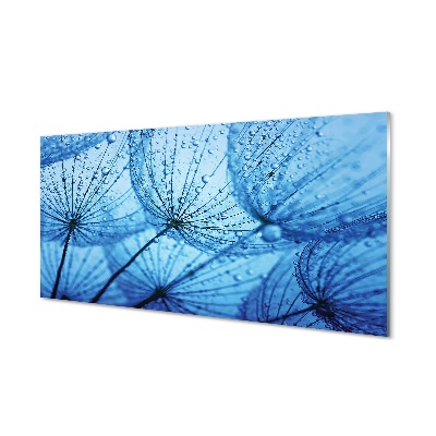 Skleneny obraz Semienko dúšky na modrom pozadí