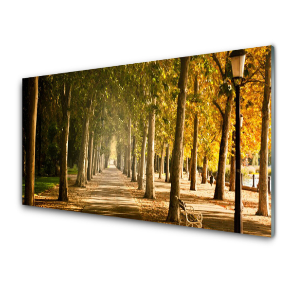 Obraz na skle Park Avenue Autumn