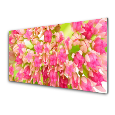 Obraz na skle Púčiky lotosových kvetov