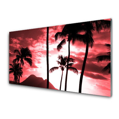 Obraz na skle Hory Palmy Stromy