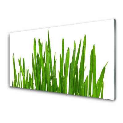 Obraz na skle Tráva na stene