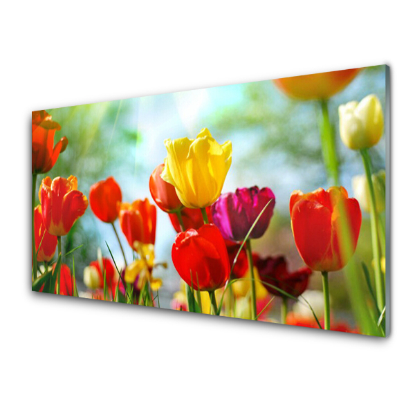 Obraz na skle Farebné tulipány