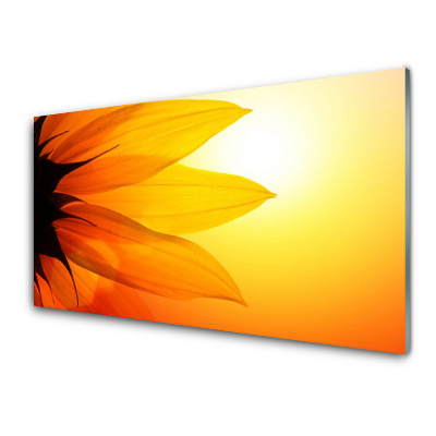 Obraz na skle Žltý kvet Slnko