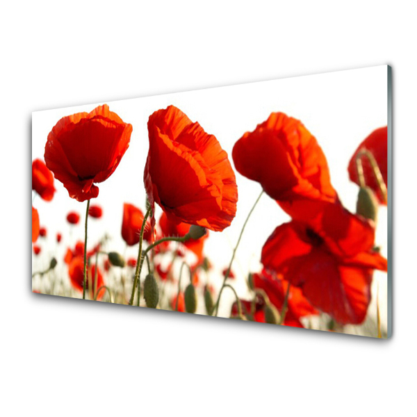 Skleneny obraz Tulipány Kvety