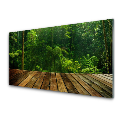 Skleneny obraz Les Príroda Rastlina