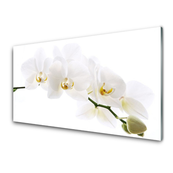 Obraz na skle Kvet orchidey
