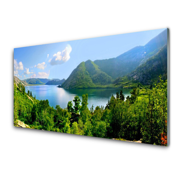 Obraz na skle Lesný záliv Hory Panoráma