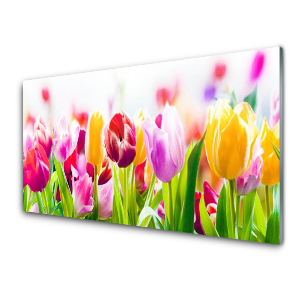 Obraz na skle Farebné tulipány