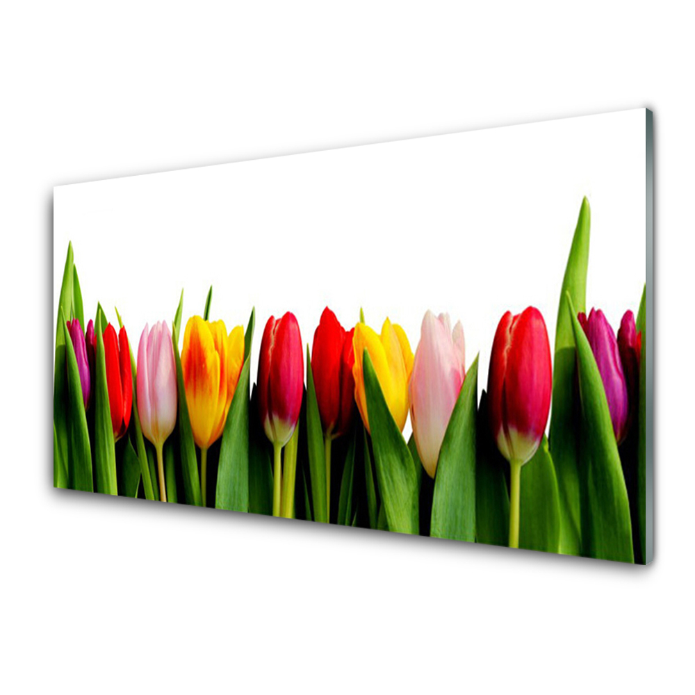 Skleneny obraz Tulipány Rastlina
