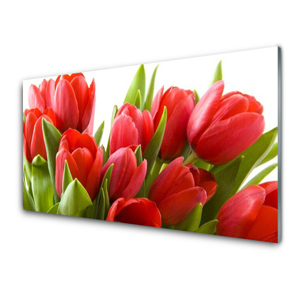 Obraz na skle Červené tulipány Kvety Rastlina