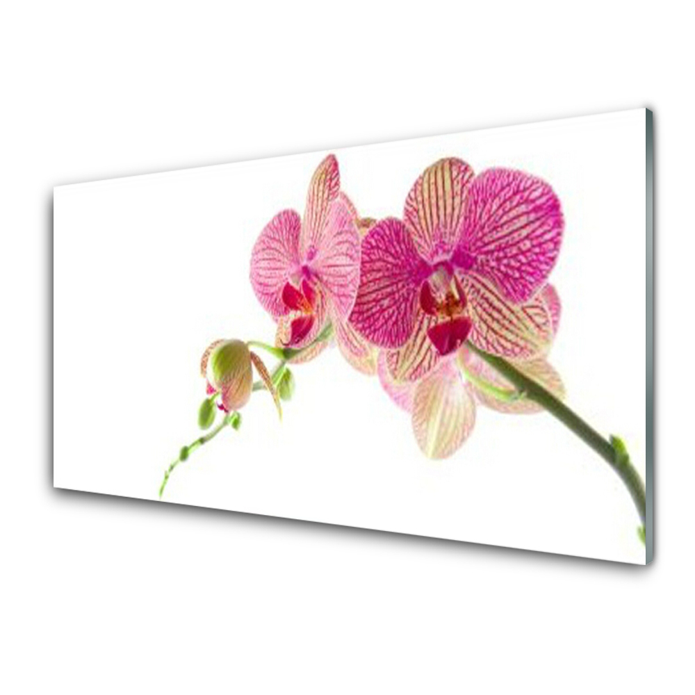 Sklenený obraz Kvety Rastlina