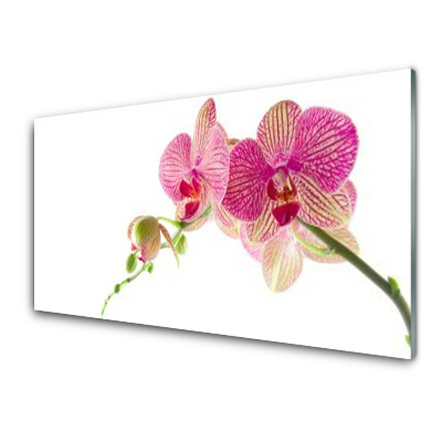 Sklenený obraz Kvety Rastlina