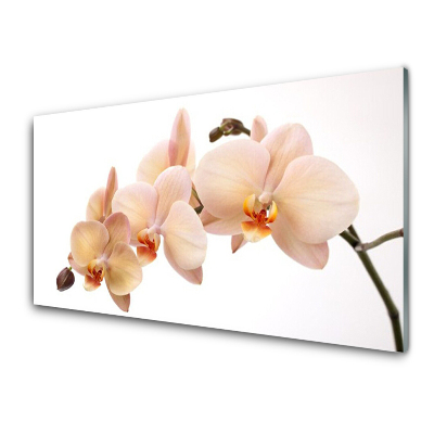 Skleneny obraz Kvety Rastlina