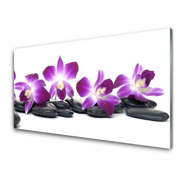 Obraz na skle Kvetina Orchidea Kúpele