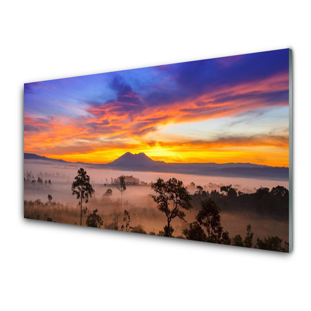 Skleneny obraz Stromy Mlha Krajina