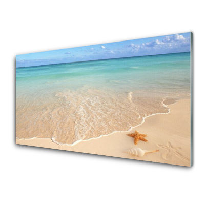 Skleneny obraz Pláž Hviezdice Pohľad