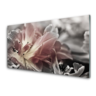 Sklenený obraz Sivý ružový kvet