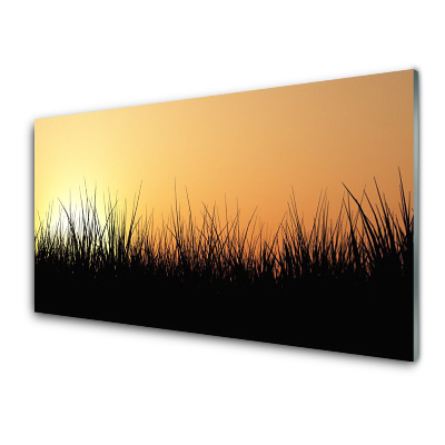 Sklenený obraz Čierna tráva na západe
