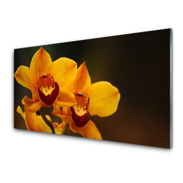 Sklenený obraz Oranžová orchidea