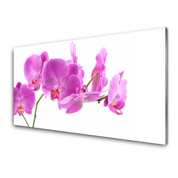 Obraz na skle Ružové kvety orchideí