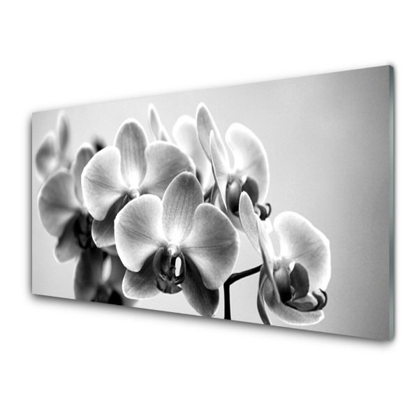 Skleneny obraz Čiernobiela orchidea