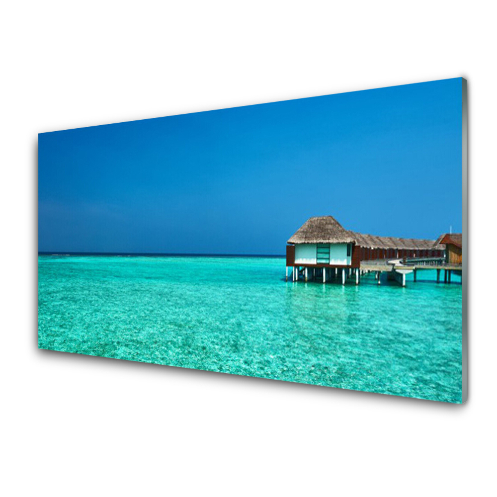 Sklenený obraz Dom pri oceáne Krajina