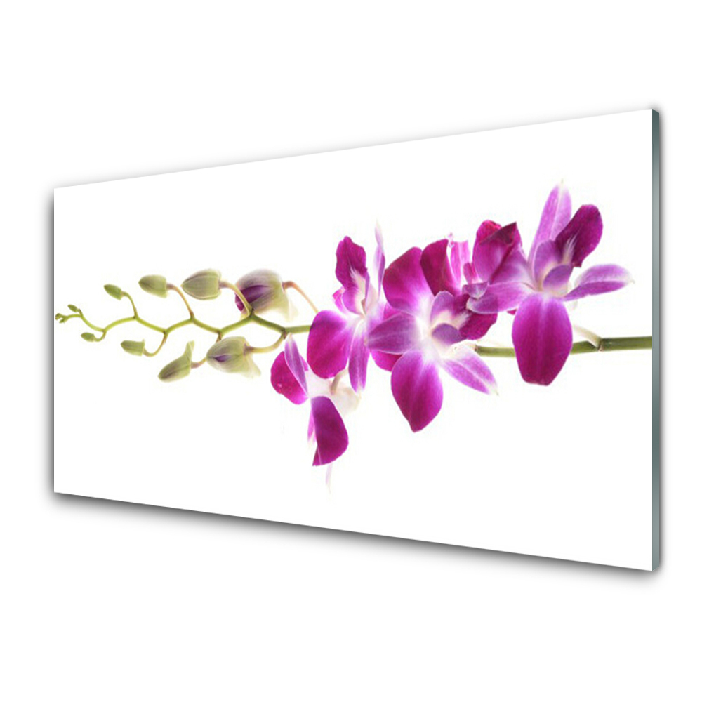 Obraz na skle Kvety na bielom pozadí