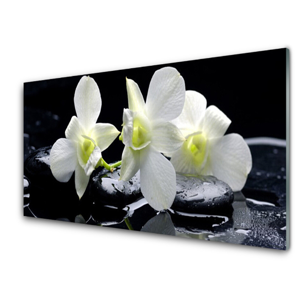 Skleneny obraz Kvet orchidey Biela