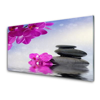 Obraz na skle Kvet ružovej orchidey