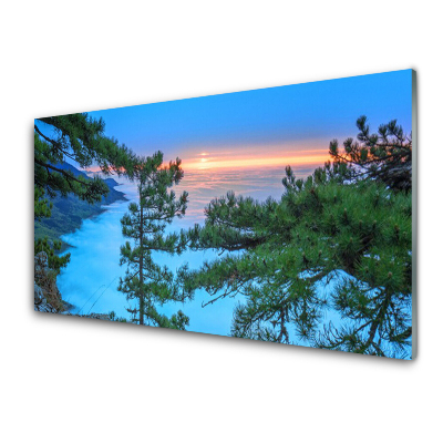 Obraz na skle Vrcholy stromov v lese