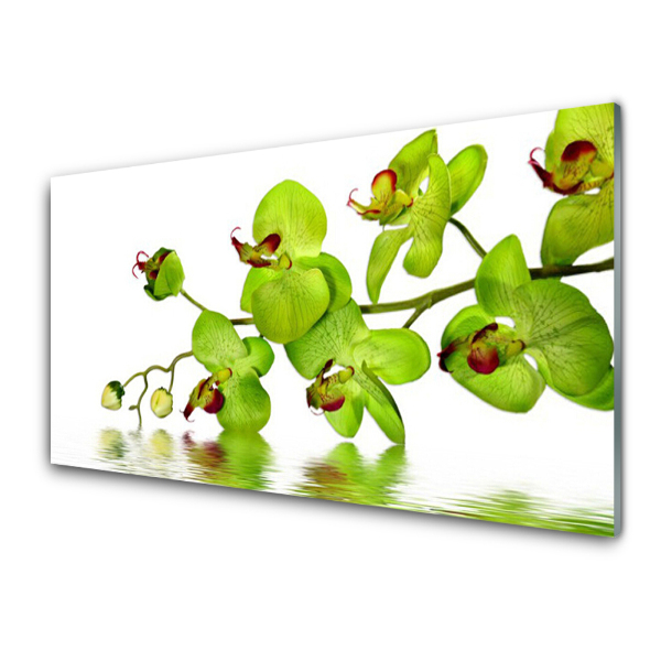 Skleneny obraz Kvety zelenej orchidey