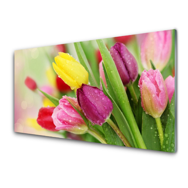 Obraz na skle Kytica farebných tulipánov