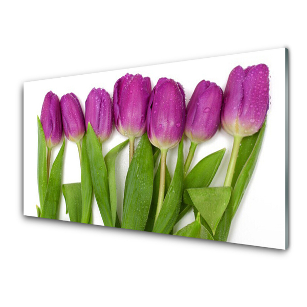 Sklenený obraz Fialové tulipány