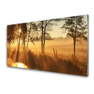 Obraz na skle Lúka so stromami