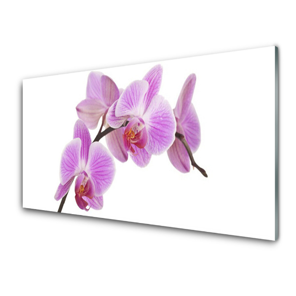 Sklenený obraz Fialová orchidea