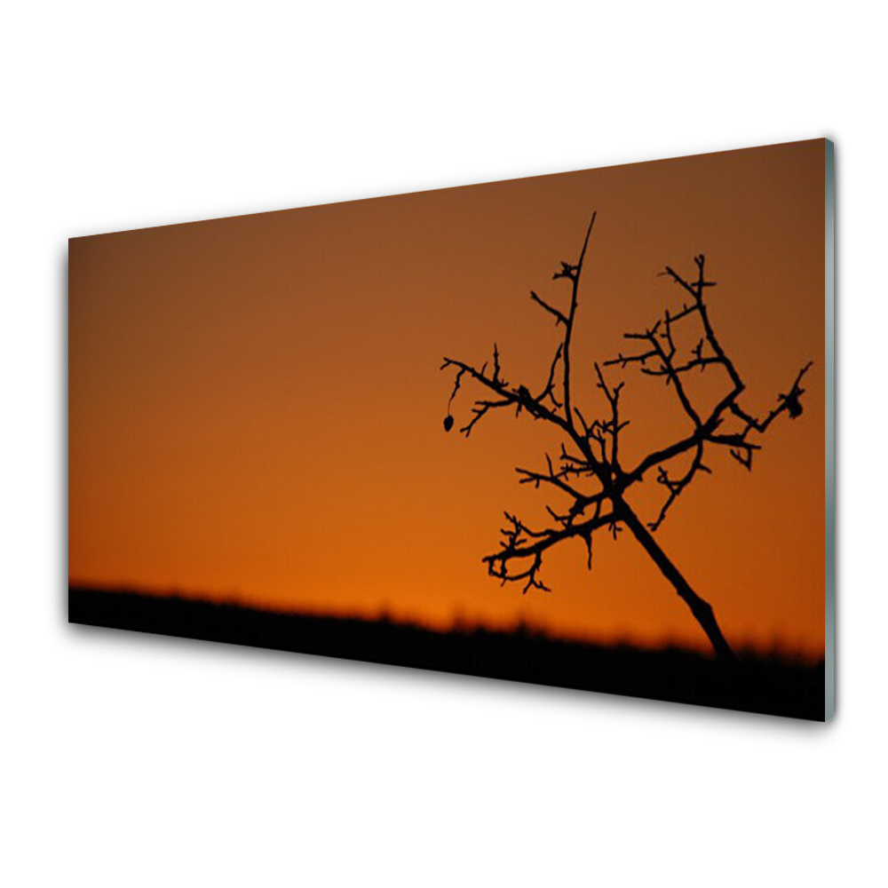 Sklenený obraz Obrys stromu Západ