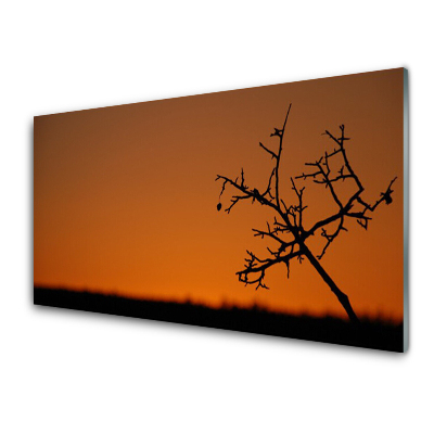 Sklenený obraz Obrys stromu Západ