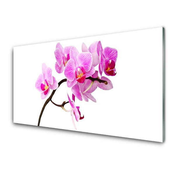 Obraz na skle Ružová vetva orchidey