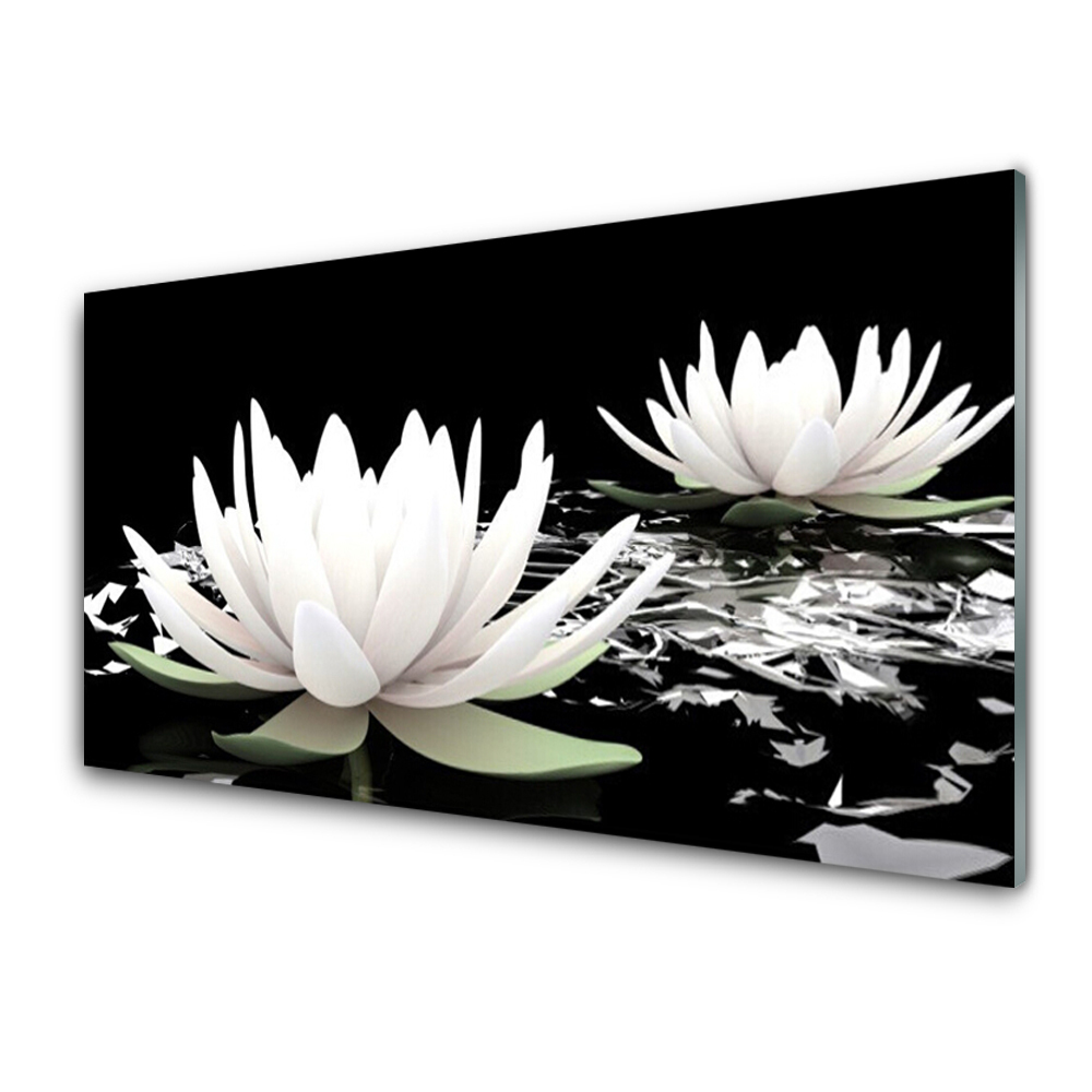 Sklenený obraz Dve lekná