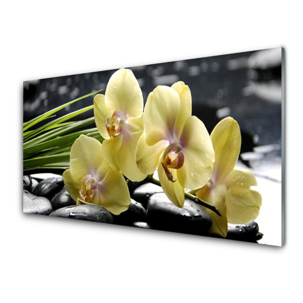 Sklenený obraz Žltá orchidea Príroda