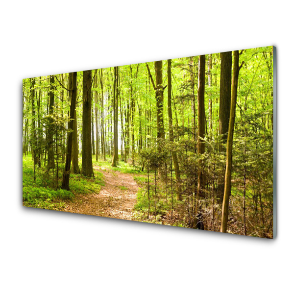Obraz na skle Cesta v zelenom lese
