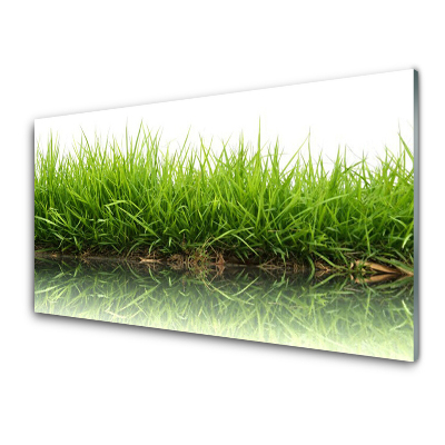 Skleneny obraz Tráva odrážajúca sa na hladine