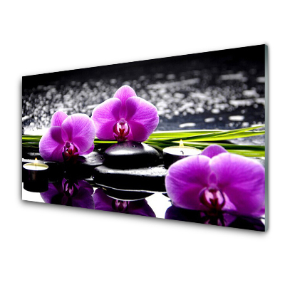 Sklenený obraz Fialové orchidey na kameňoch