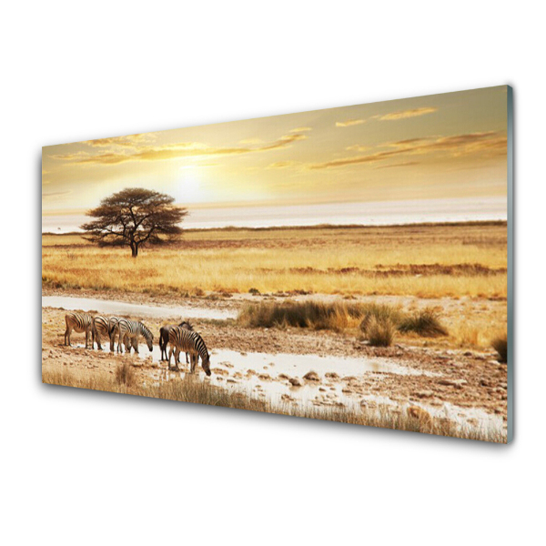 Skleneny obraz Zebry na savane