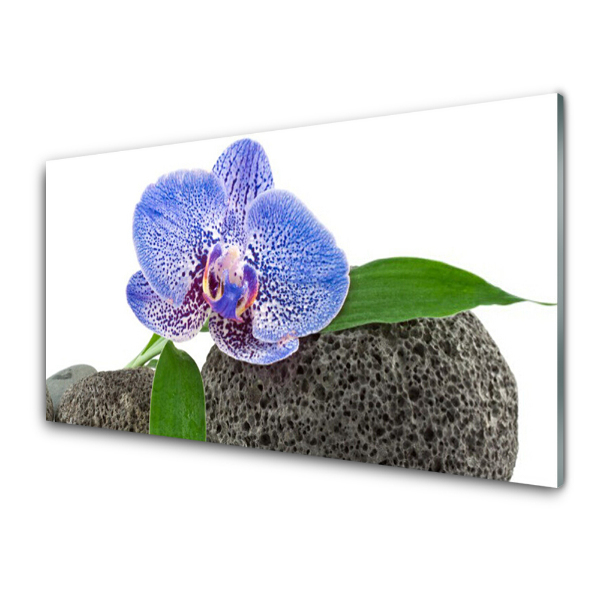 Skleneny obraz Modrá orchidea