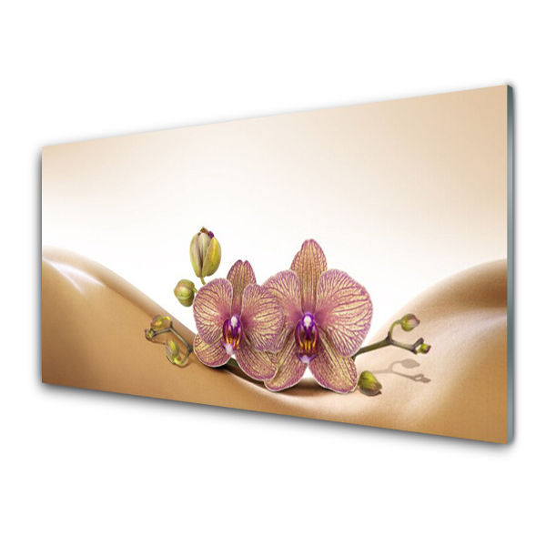 Obraz na skle Béžové orchidey na pozadí