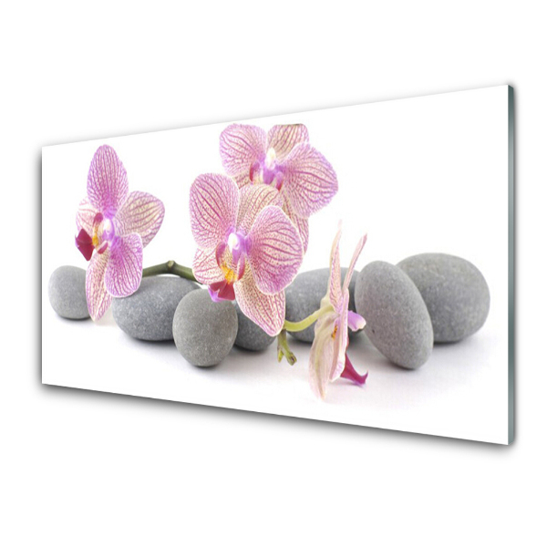 Obraz na skle Práškové orchidey a kamene