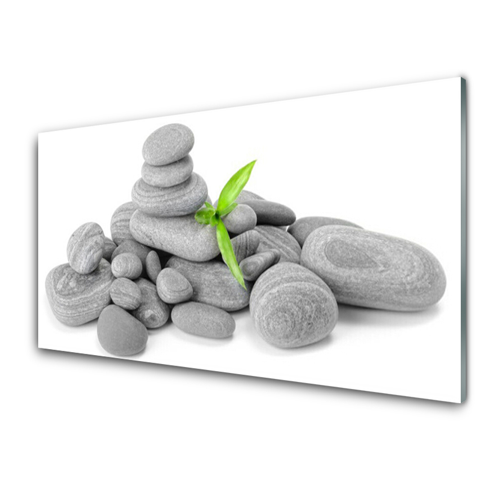 Obraz na skle Sivé kamene a listy