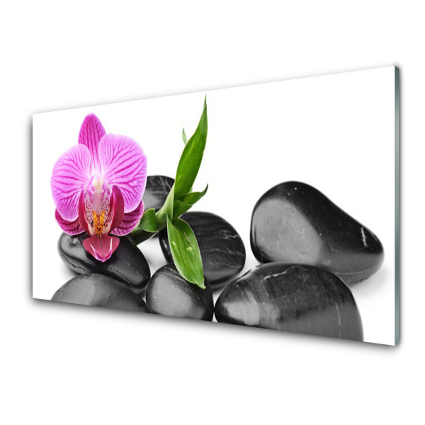 Obraz na skle Kvet orchidey Kamene